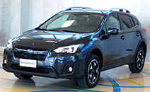 compro auto vendo auto usate brescia  